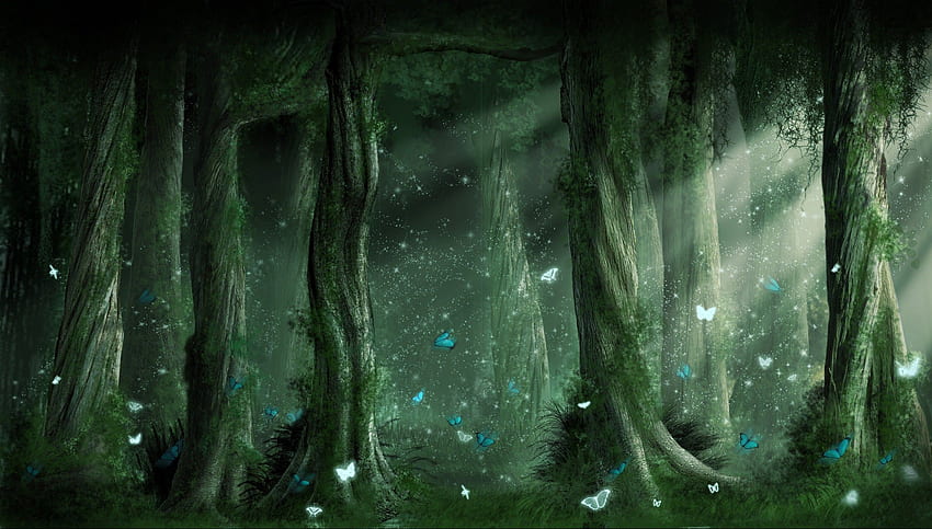Dark Forest (5997), Dark Jungle Anime HD wallpaper | Pxfuel