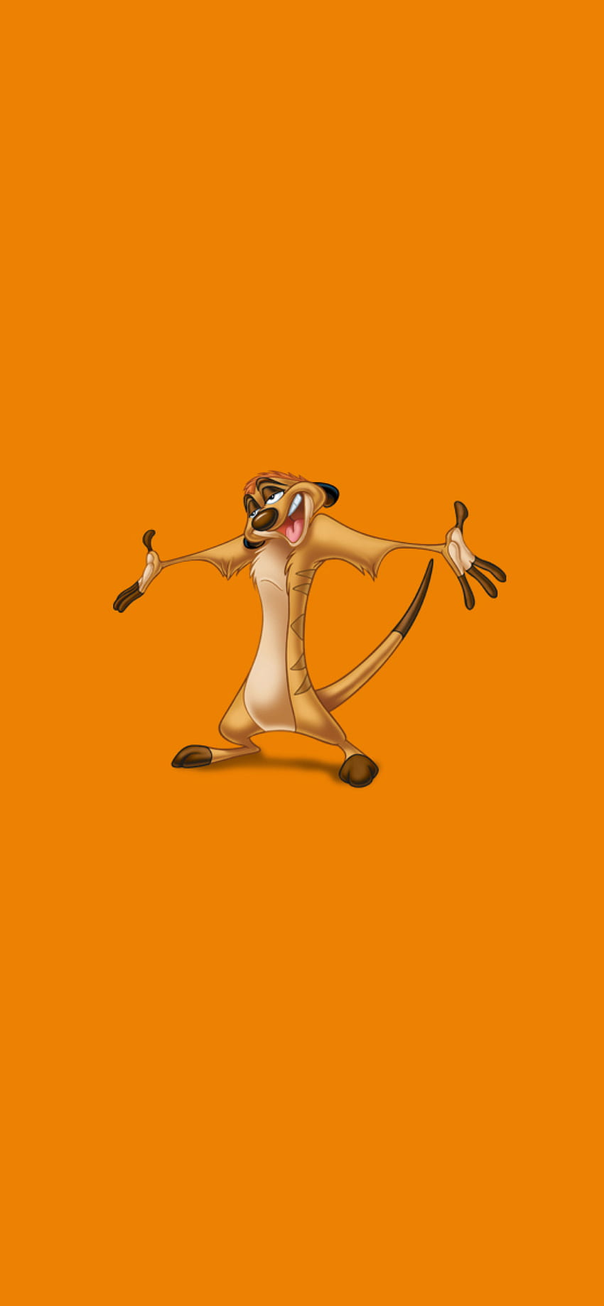 Timon Wallpaper (67+ pictures)