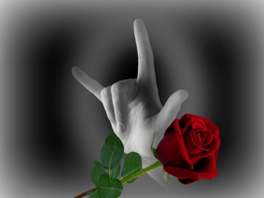 Hand Sign, sky, red rose, sign, hand HD wallpaper