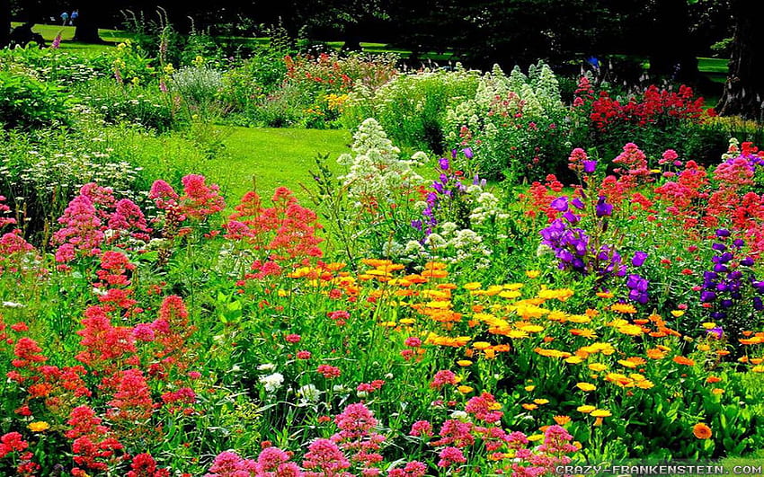 Beautiful Flower Garden, English Gardens HD wallpaper | Pxfuel