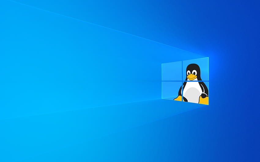 Tux detrás de la ventana: Linux, Linux vs Windows fondo de pantalla