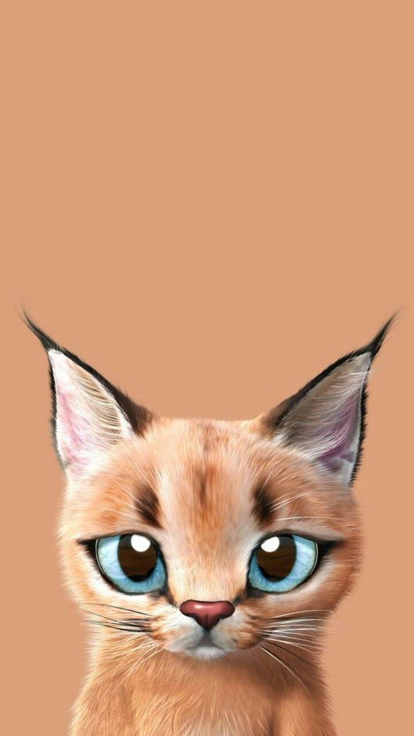 Pin on Gato Caracal