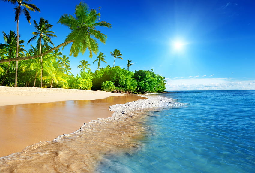 Tropical sun, rays, crystal, sunlight, tropical, vacation, nice, beach, shore, waves, shine, water, sun, ocean, palm trees, palms, sea, tropics, exotic, dazzling, beautiful, summer, pretty, light, nature, sky, clear, lovely HD wallpaper
