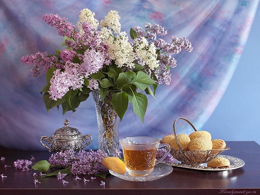 Still Live, flor, color suave, flores, frutas, taza de té fondo de pantalla