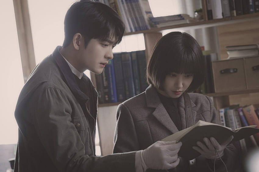 Olağanüstü Avukat Woo' 3. Bölüm: Park Eun Bin'in Güvenilirliği Test Edildi HD duvar kağıdı