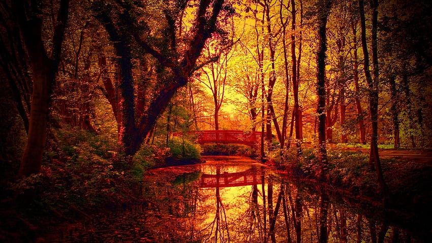 Fantastic Autumn Colors On Bridge Over A Forest Creek . HD wallpaper ...