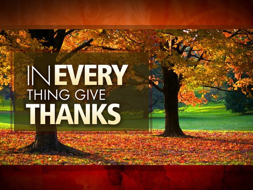 Musim Gugur ~ Thanksgiving, daun, Musim gugur, pohon, Thanksgiving, Musim Gugur, taman Wallpaper HD