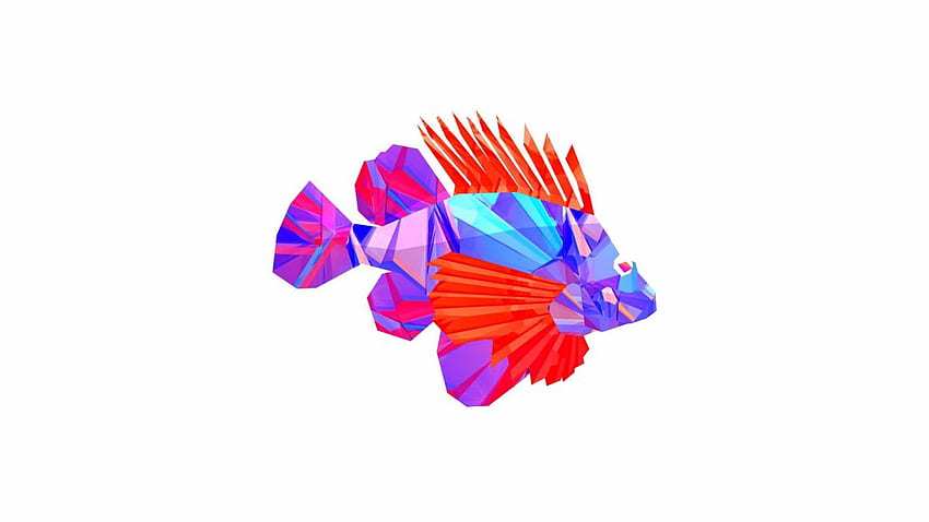 Abstract animals fish vectors digital art Justin Maller . HD wallpaper