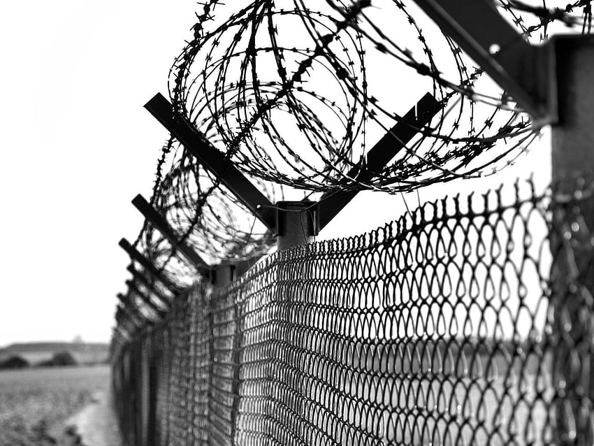 Barbed Wire Fence Background