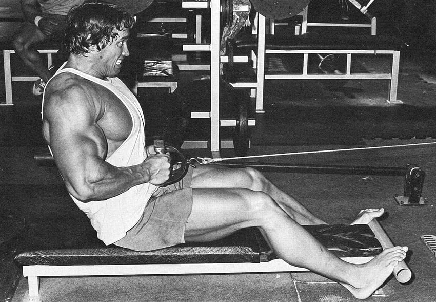 Arnold Doing Seated Rows In 1920 X 1328 X Post From R, Flex Lewis HD wallpaper