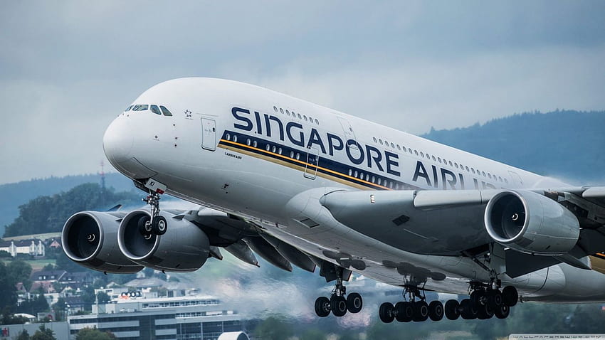 Samolot Singapore Airlines ❤ dla Ultra Tapeta HD