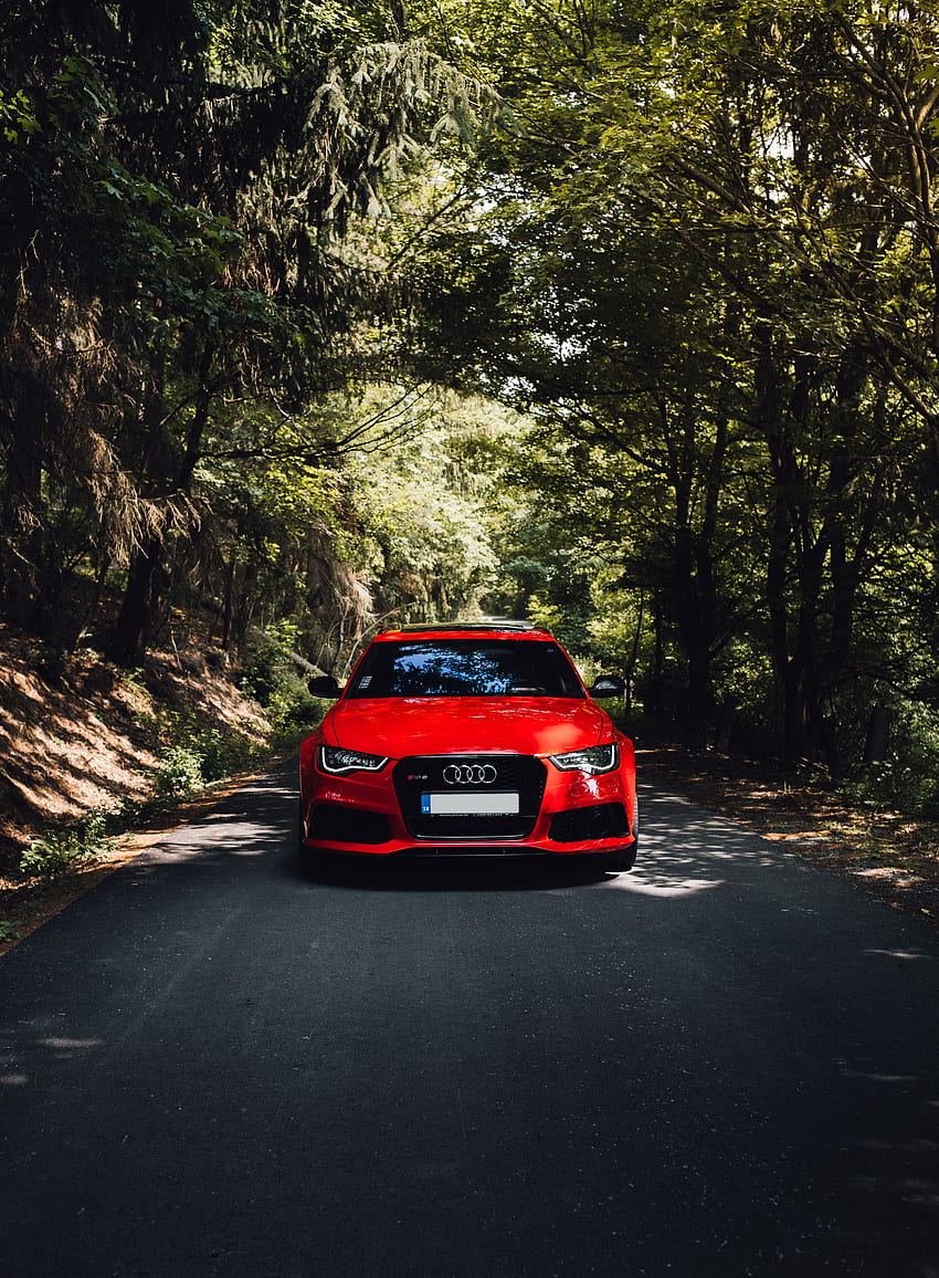 Trees, Audi, Cars, Road, Forest, Car, Front View, Machine HD phone wallpaper