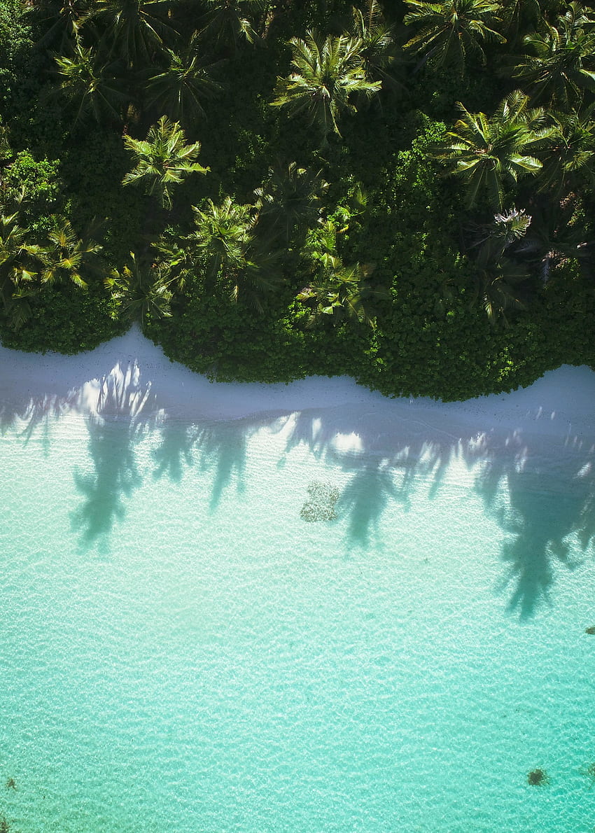 Vista aérea, praia, mar azul Papel de parede de celular HD