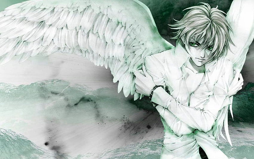 Lindo anjo, desenho, bonito, menino, anime, HD wallpaper