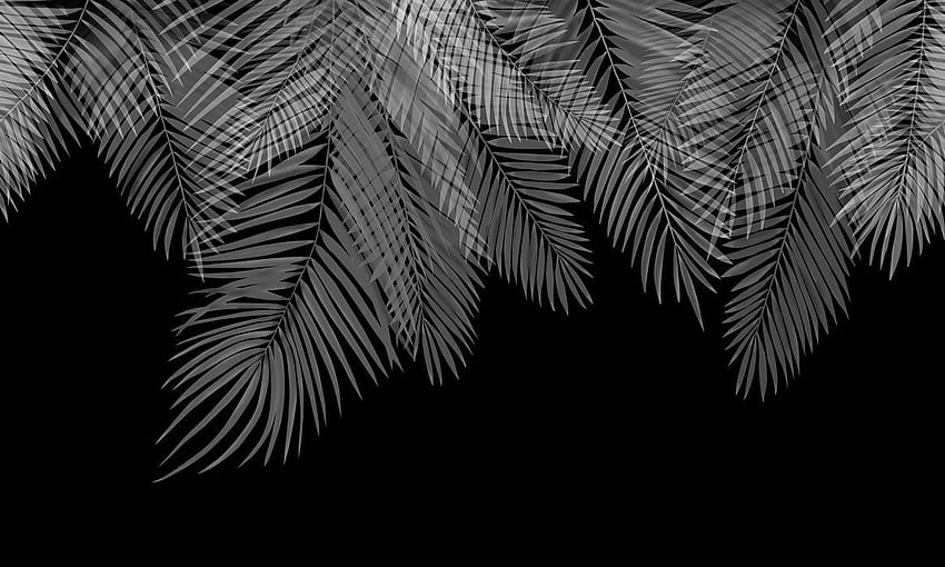 Hanging Palm Leaves Black White – A Wall Mural For Every Room – wall, 黒と白の葉 高画質の壁紙