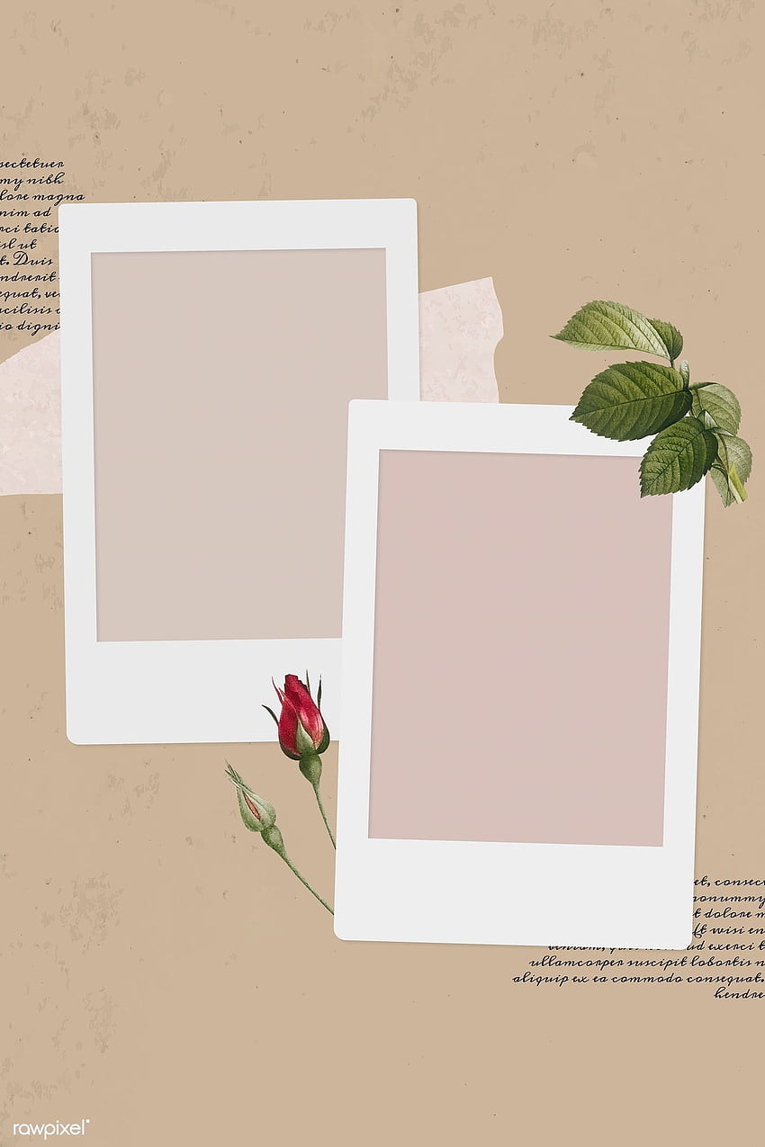 Aesthetic Beige Polaroid (Page 3), Beige Aesthetic Collage HD phone wallpaper