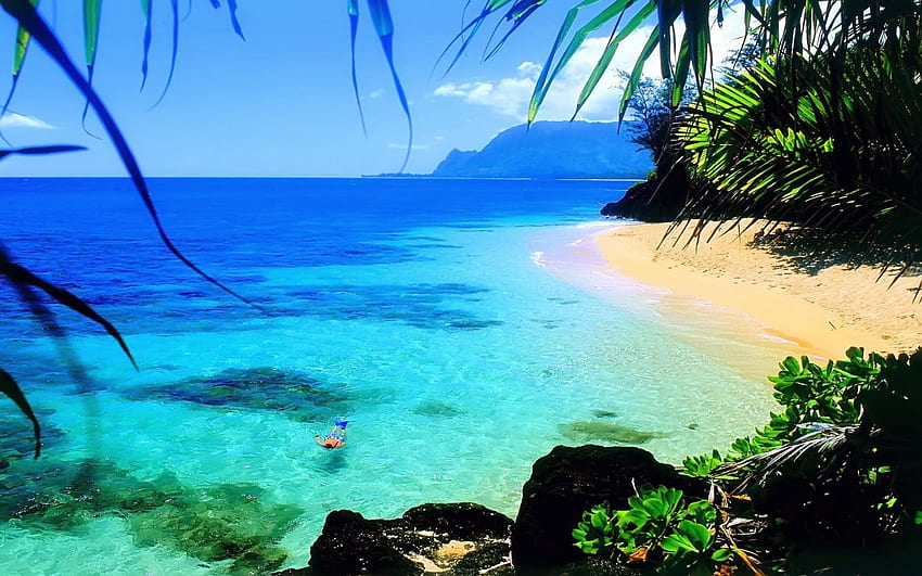 Ocean Hawaii Beach Beautiful For Laptop, Hawaiian Christmas HD wallpaper