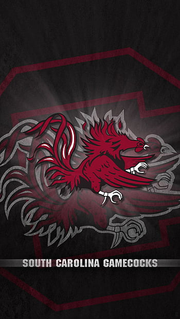 201617 Desktop Wallpaper  University of South Carolina Athletics