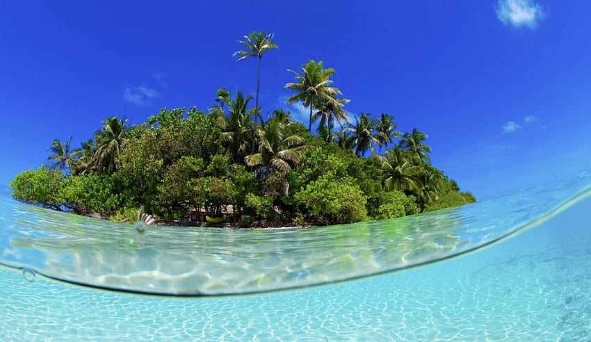 Through the Lagoon, island, blue, crystal, tropical, shot, tahiti, beach, underwater, islands, ocean, sea, exotic, paradise, lagoon, south pacific, clear, polynesia HD wallpaper