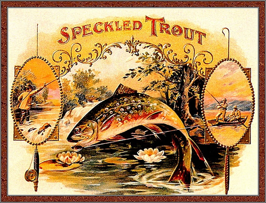 Speckled Trout, other, fish, trout, cigar box, folk art HD wallpaper