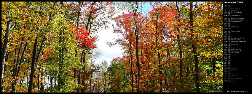 ต้นไม้ร่วงหล่นและท้องฟ้าสีคราม (ปฏิทิน) วันขอบคุณพระเจ้าที่สวยที่สุด วอลล์เปเปอร์ HD