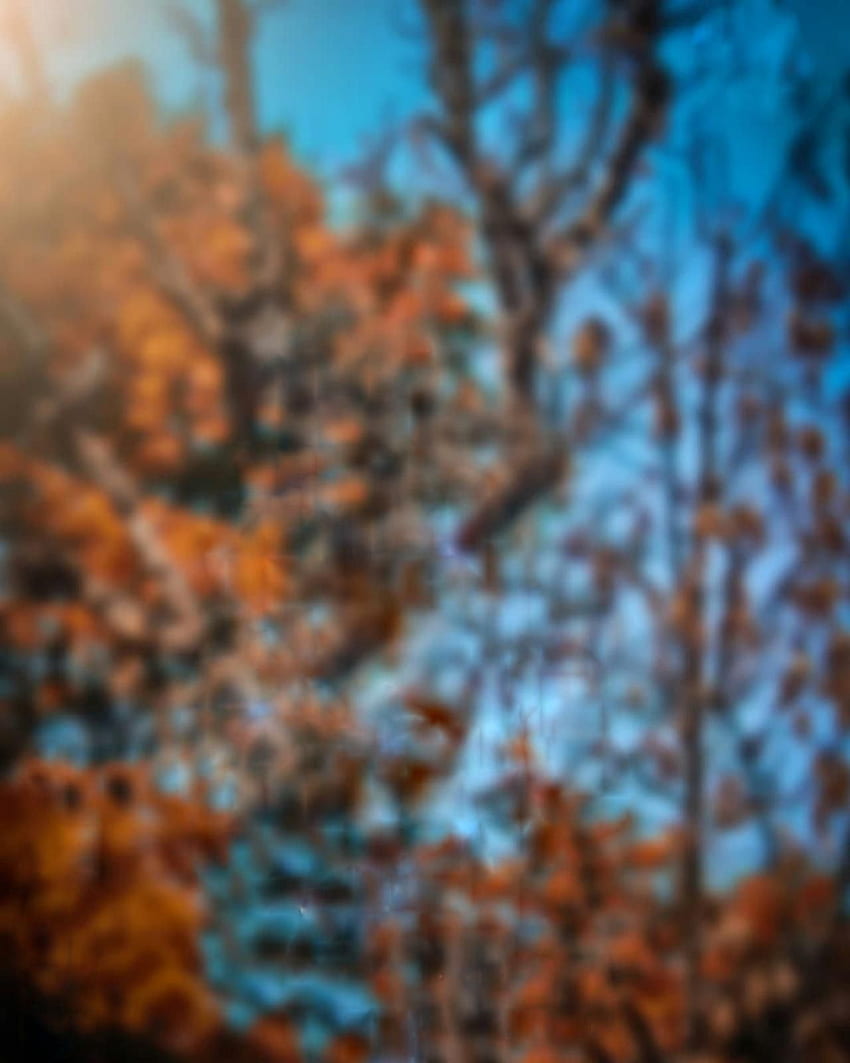 Picsart Blur Nature Background - HD phone wallpaper | Pxfuel