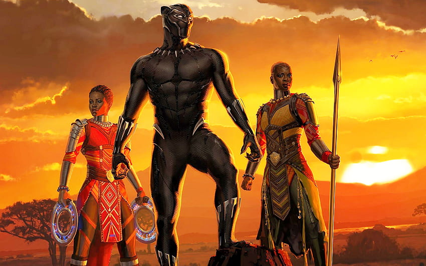 Black Panther King Of Wakanda Nakia Okoye HD wallpaper