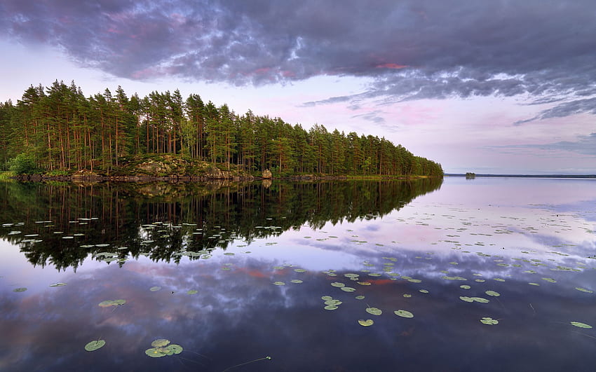 Swedish Summer, Swedish Landscape HD wallpaper