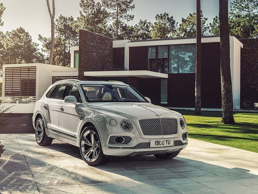 Silver, Bentley Bentayga, compact, front . Best luxury cars, Luxury cars, Bentley, Bentley Truck HD wallpaper