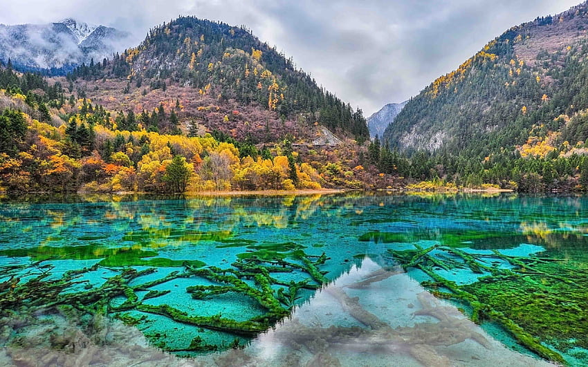 Парк Jiuzhaigou, Китай, езеро с пет цветя, обект на ЮНЕСКО за световно наследство Пейзаж HD тапет