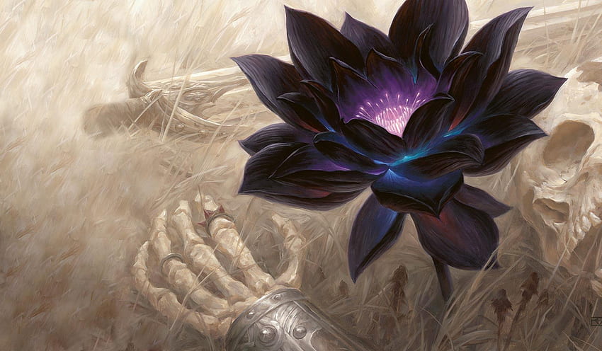 Black Lotus Mtg Art, fiore di loto nero Sfondo HD