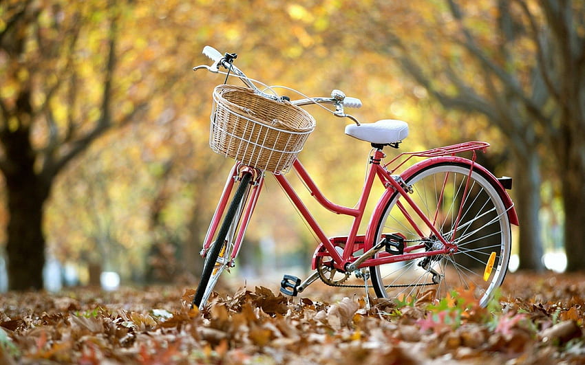 Red Bicycle Computer 66362 px HD wallpaper