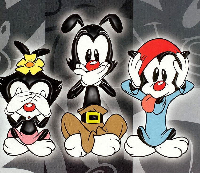 Animaniacs. 90s cartoons, Cool cartoons, Old cartoons HD wallpaper | Pxfuel