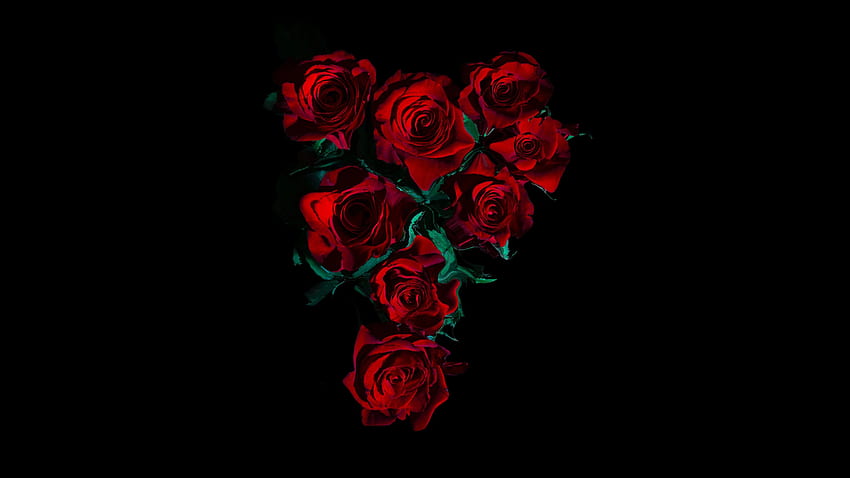 Red Roses , Flower bouquet, Black background, , , Flowers, Red Roses Laptop HD wallpaper
