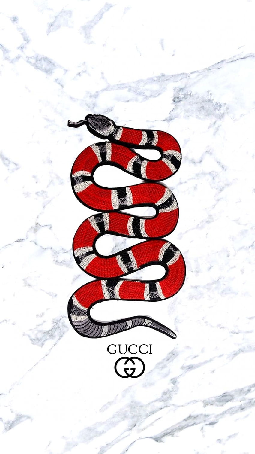 Vermelding Verplaatsing bevestigen Gucci Snake 12 Other Amazing 1242×2208 HD phone wallpaper | Pxfuel