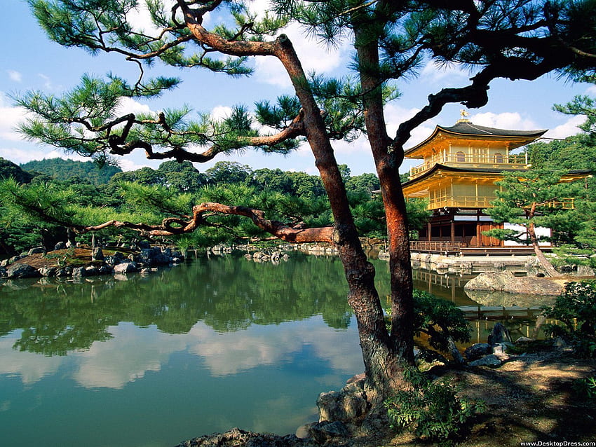 Natural Background Kinkaku Ji Temple, Kyoto Japan HD wallpaper