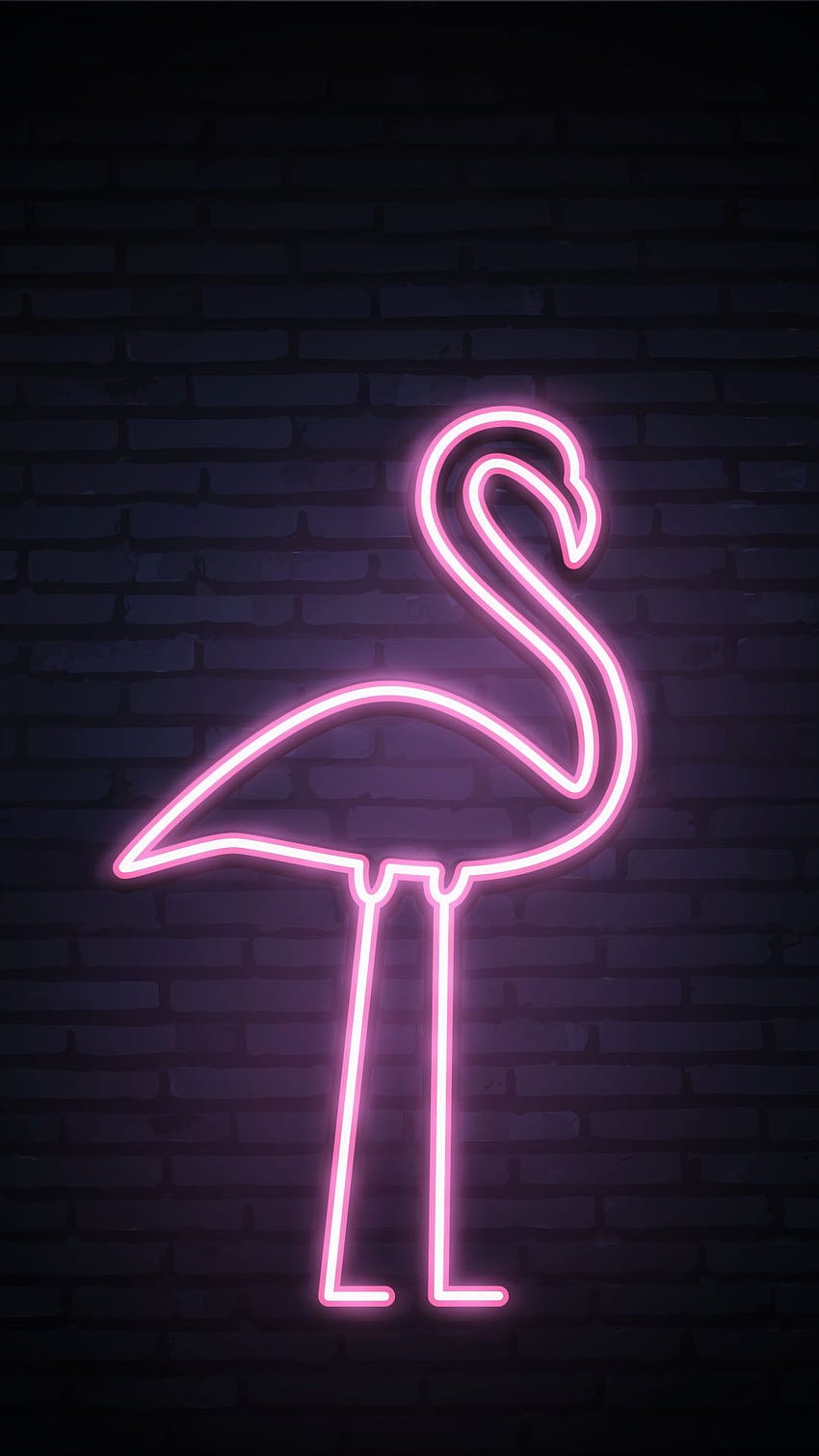 Everpix_Live na Pink Flamingo. iphone neon, flaming, neon Tapeta na telefon HD