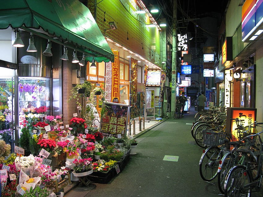 Escena de la calle Ekoda Ginza, Ekoda, Tokio, Japón. Calle angosta, Back Street Japan fondo de pantalla