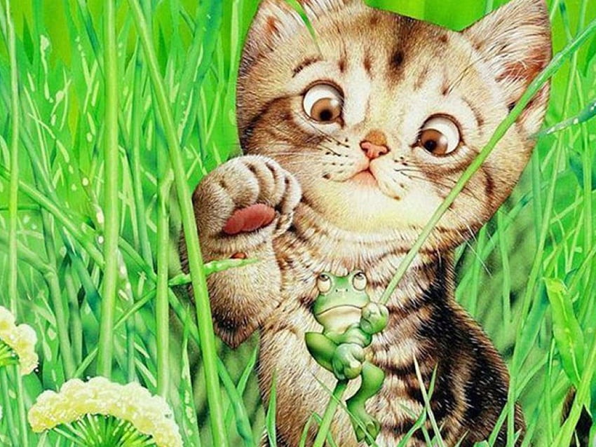 cat and frog, let us play HD wallpaper