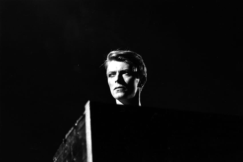 David Bowie และพื้นหลัง David Bowie Cool วอลล์เปเปอร์ HD