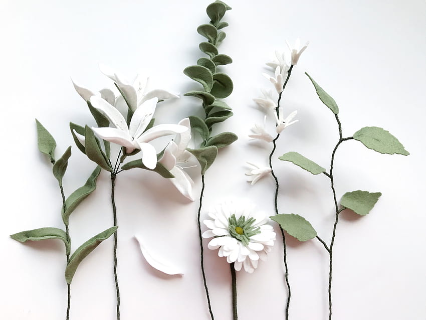 ดอกขาวใบเขียวสด วอลล์เปเปอร์ HD