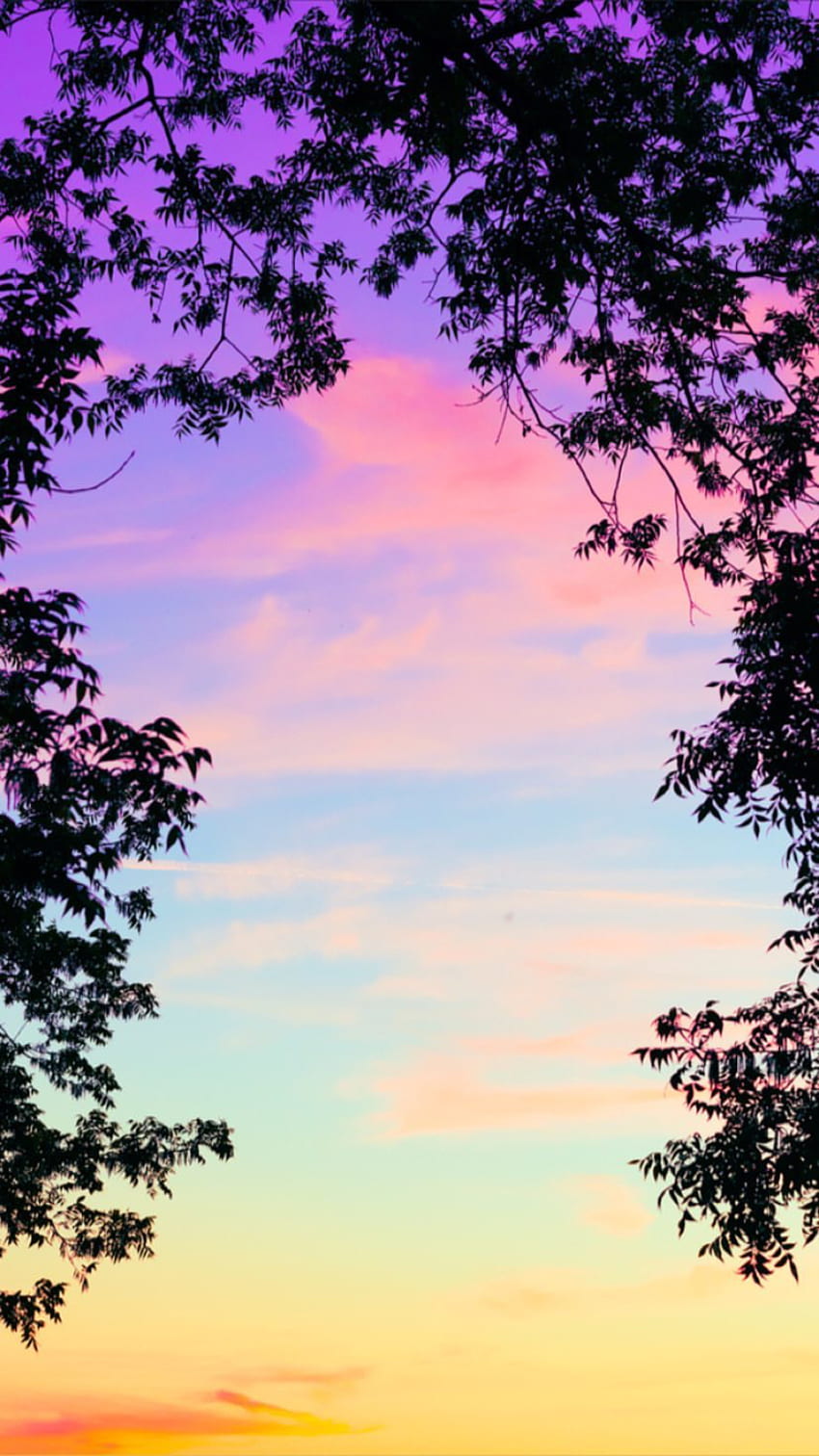 iphone cielo, naturaleza, árbol, nube, rosa, púrpura fondo de pantalla del teléfono