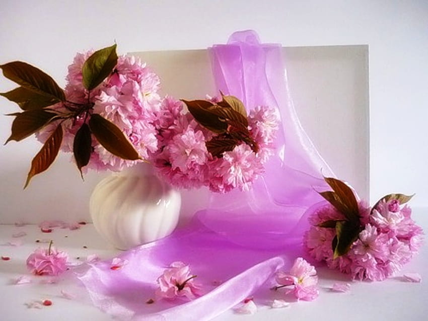 Still life, colorful, vase, beautiful, pink, simple, petals, nature, flowers, pleasant HD wallpaper