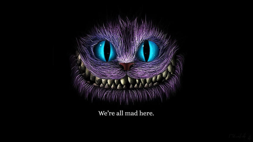 We Are All Mad Here Cheshire Cat 1440P 해상도, 아티스트, 및 배경, 2560X1440 고양이 HD 월페이퍼