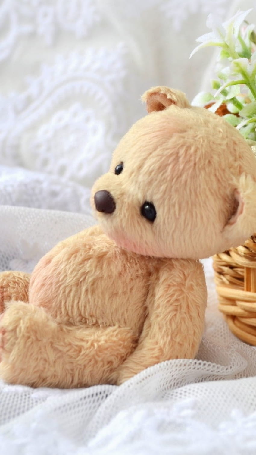 Little teddy bear HD wallpapers | Pxfuel