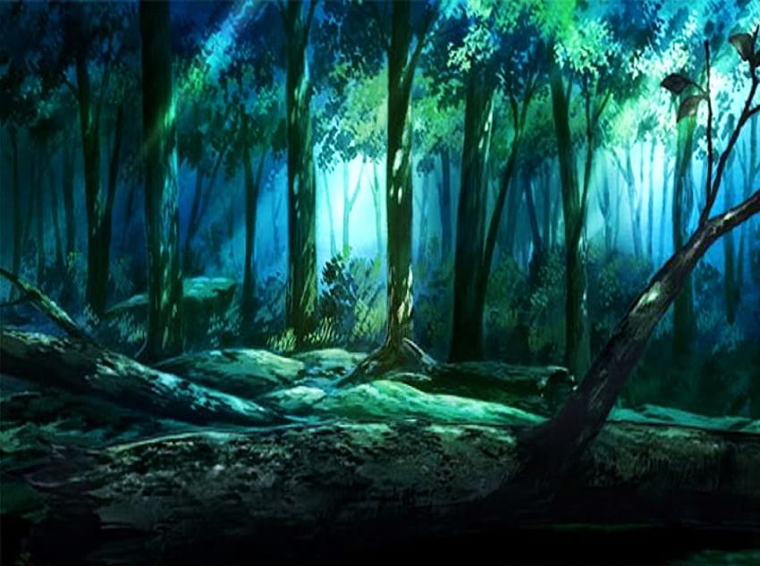 Dream forest, rays, filtered light, blues, green, trees, forest, evening HD wallpaper