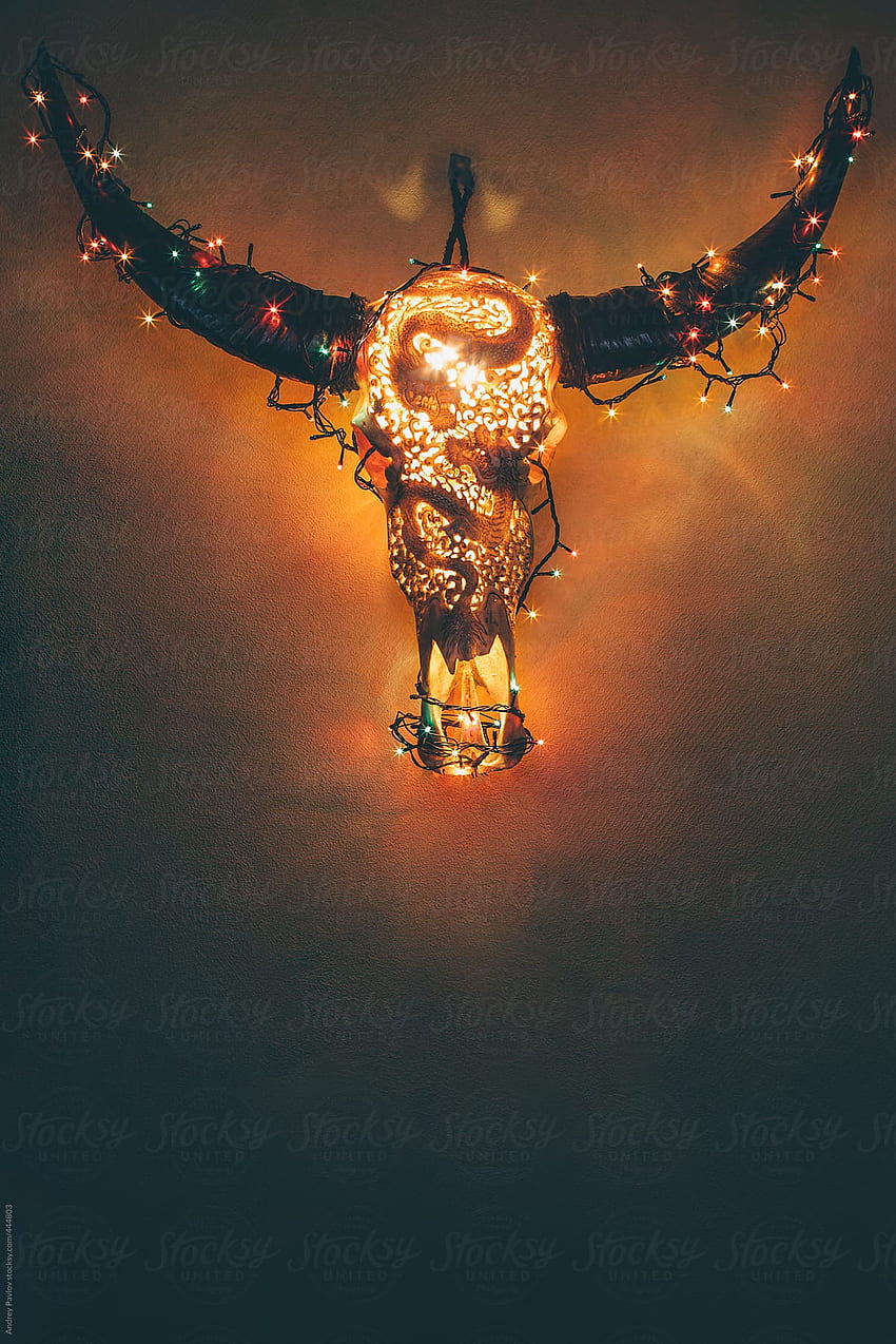 A bull skull hanging on a wall and decorated with Christmas lights HD phone wallpaper