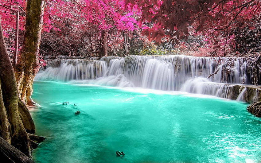 водопад, гора, цветен, природа, Тайланд, дървета, пейзаж, розово, тюркоазено, бяло, тропическо, река, езерце, листа / и мобилен фон, готина цветна природа HD тапет