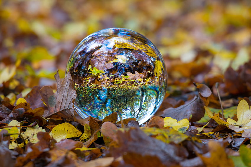 natureza, outono, vidro, bola, folhagem, esfera papel de parede HD
