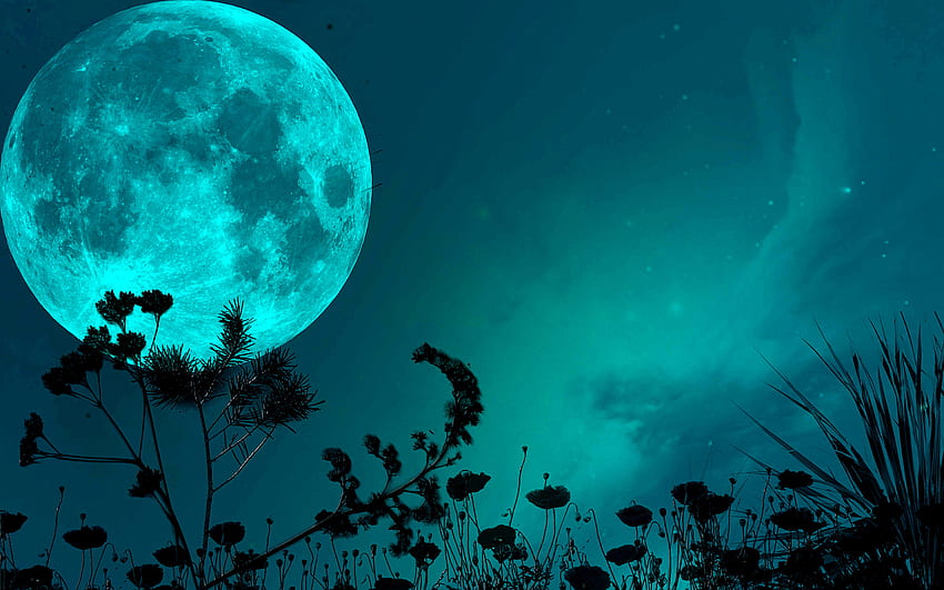 нощ, небе, луна, сенки, трева, острие, звезди / и мобилен фон HD тапет